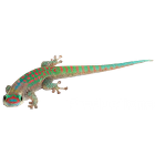 1408